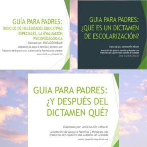 guias de educación y dictamen