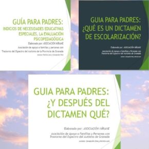 guias de educación y dictamen